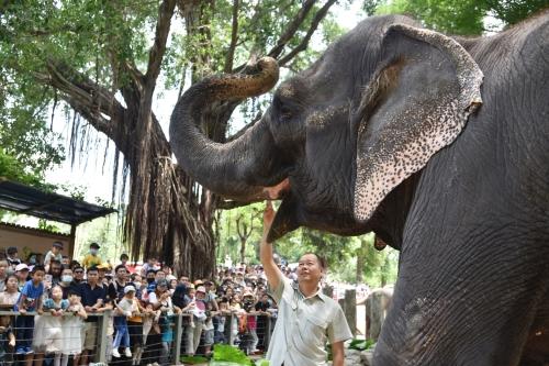 五一假期首日，深圳野生動(dòng)物園動(dòng)物科普講解吸引游客